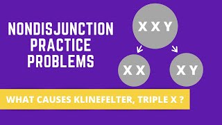 NONDISJUNCTION PRACTICE PROBLEMS KLINEFELTER SYNDROME TRIPLE X SYNDROME [upl. by Bess]