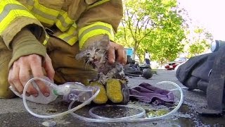 GoPro Fireman Saves Kitten [upl. by Mcconnell]