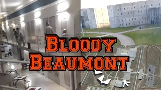 A Close Up Look Of Bloody Beaumont [upl. by Robinetta]