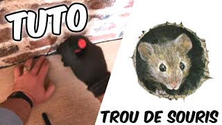 Trou de souris  comment et avec quoi le boucher [upl. by Acquah53]