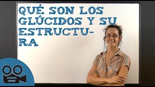 Qué son los glúcidos y su estructura [upl. by Enram]