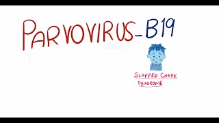 Parvovirus B19  Fifth Disease  pathogenesis clinical features diagnosis and management [upl. by Otir6]