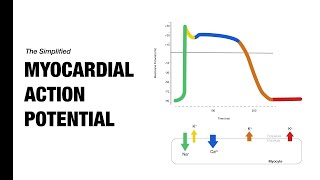 Ventricular Action Potential  Medzcool [upl. by Lleunamme]