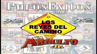 Los Reyes Del Camino y Arnulfo Jr Puros Exitos Vol2 2016 Dj Tito [upl. by Milinda]