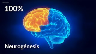 ♫ Música Clásica para estimular el cerebro  Efecto Mozart HQ Alta fidelidad de audio [upl. by Nirual]