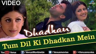 Tum Dil Ki Dhadkan Mein  Duet Dhadkan [upl. by Oman]