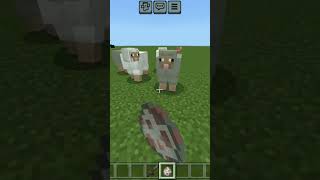 Believer song in minecraft [upl. by Rafi]