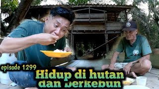 makan sederhana bersama bapak di pondok tua warta petani muda hidup di hutan [upl. by Vally]