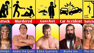 How WWE Wrestlers Died [upl. by Najib]