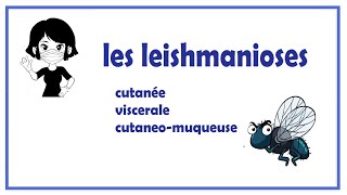 🔵les leishmanioses [upl. by Ykcub]