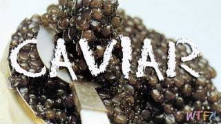 What Is and How to Eat Caviar Caviar 101 [upl. by Fillbert829]