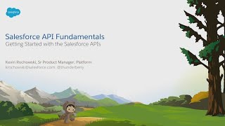 Salesforce API Fundamentals [upl. by Logan]