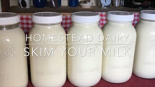 How to Skim the Cream Off Your Milk [upl. by Ezirtaeb]