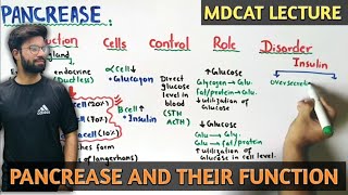 Pancrease structure and function  NMDCAT 2021 [upl. by Odracer]