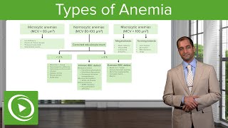 Anemia Microcytic Normocytic amp Macrocytic Type – Hematology  Lecturio [upl. by Decamp]