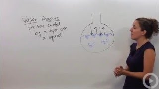 Vapor Pressure [upl. by Avitzur]