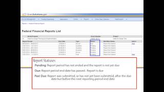 Introduction to the Federal Financial Report FFR for Grantees [upl. by Akeemat]