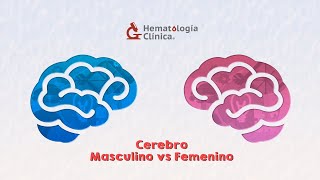 Cerebro masculino vs cerebro femenino [upl. by Ednalrym]