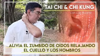 Sana los síntomas de Tinnitus relajando el CUELLO Y HOMBROS [upl. by Pfeifer992]