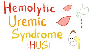 Hemolytic Uremic Syndrome HUS [upl. by Ricki]