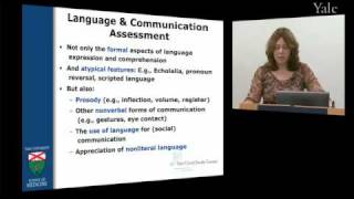 Autism Assessment Katherine Tsatsanis [upl. by Wells]