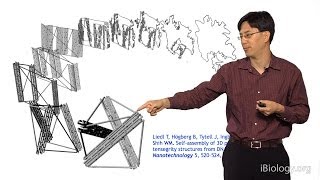 William Shih Harvard Part 1 Nanofabrication via DNA Origami [upl. by Dlaner]