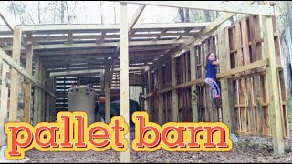 How to build Pallet Barn Shed build amp 5year review [upl. by Maddox]