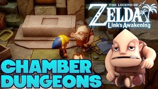 Zelda Links Awakening 100 Walkthrough Switch Part 21  Dampes Chamber Dungeon Rewards [upl. by Yeslaehc392]