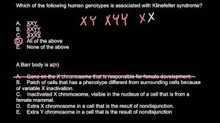 Klinefelter syndrome and Barr body explained [upl. by Elkcim]