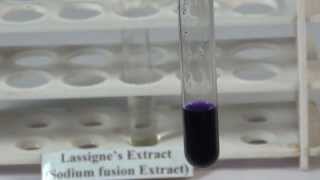 Detection of Sulphur in an Organic Compound  MeitY OLabs [upl. by Barolet]