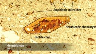 Hornblende vs Biotite under PPL and XPL [upl. by Cianca]