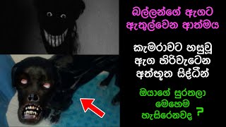 කැමරාවට හසුවූ හොල්මන් Part 20 Paranormal Activity kazzai holmanscience  Education [upl. by Reseta]