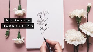 How To Draw Carnations  Floral Illustration [upl. by Schonfeld]