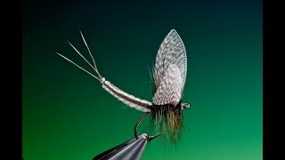 Fly Tying extended mayfly dry fly body tutorial with Barry Ord Clarke [upl. by Nohsad673]