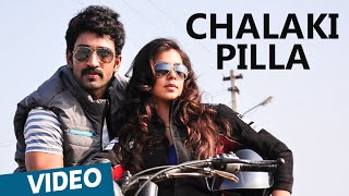 Chalaki Pilla Video Song  Malupu  Aadhi  Nikki Galrani [upl. by Popele]