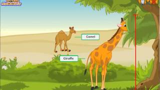 Every Type of Hoofed Mammal Explained Animal Science for Kids [upl. by Aihsekel842]