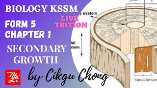 12 Secondary Growth [upl. by Smart]