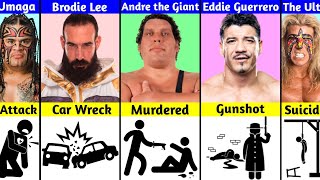 How WWE Superstars Died [upl. by Shanon]