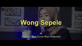 Wong Sepele  Ndarboy Genk cover Woro Widowati [upl. by Anonyw]