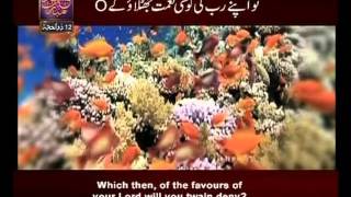 Surah Ar Rehman n° 55 Urdu amp English Translate By Qtv [upl. by Robins672]