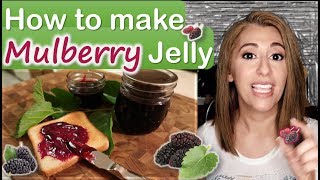 How to make MULBERRY JELLY 😍 easy  How to pick mulberries [upl. by Conlan754]