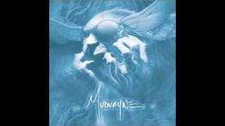 Mudvayne  Track 4 quotCloserquot [upl. by Ibbison]