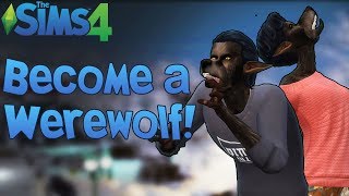 The Sims 4 Become a Ferocious Werewolf Mod Showcase [upl. by Pavkovic953]