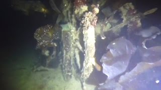 Stunning underwater images of the longlost HMS Terror [upl. by Olympie811]