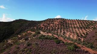 Crete Botanical Garden [upl. by Carl]