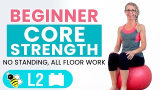 BEGINNER CORE  15 Minute STABILITY BALL Workout for BEGINNERS [upl. by Holds]