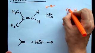 Alkene  HBr Reaction  Alkyl bromide [upl. by Birkett620]