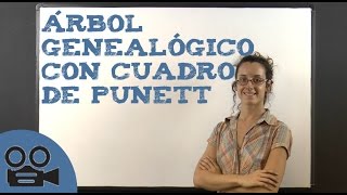 Árbol genealógico con cuadro de Punnet [upl. by Nilram]