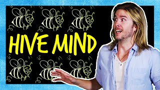 The Hive Mind in the Real World  Because Science [upl. by Fillian]