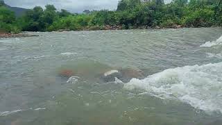 Strella river palawan [upl. by Derrek]